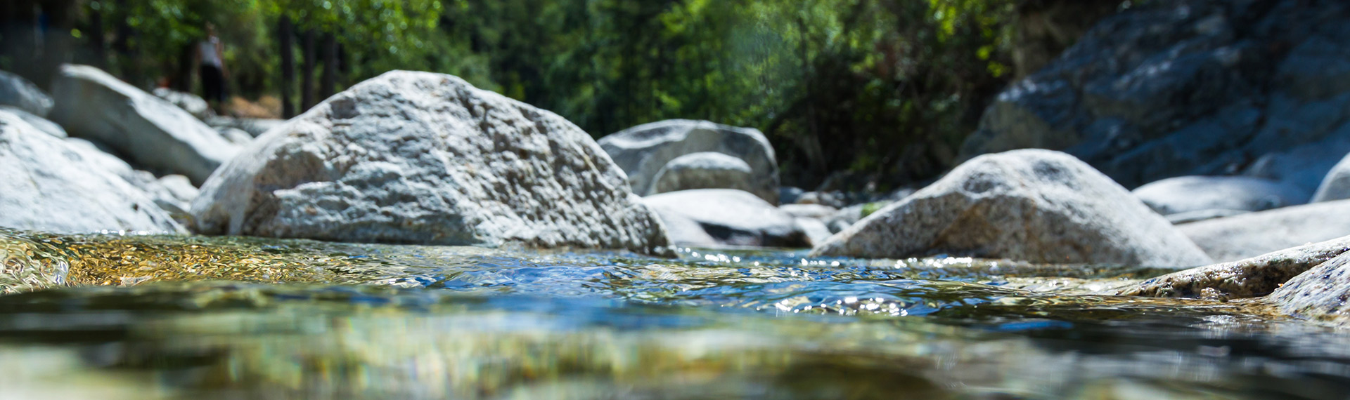 L’eau : une ressource précieuse