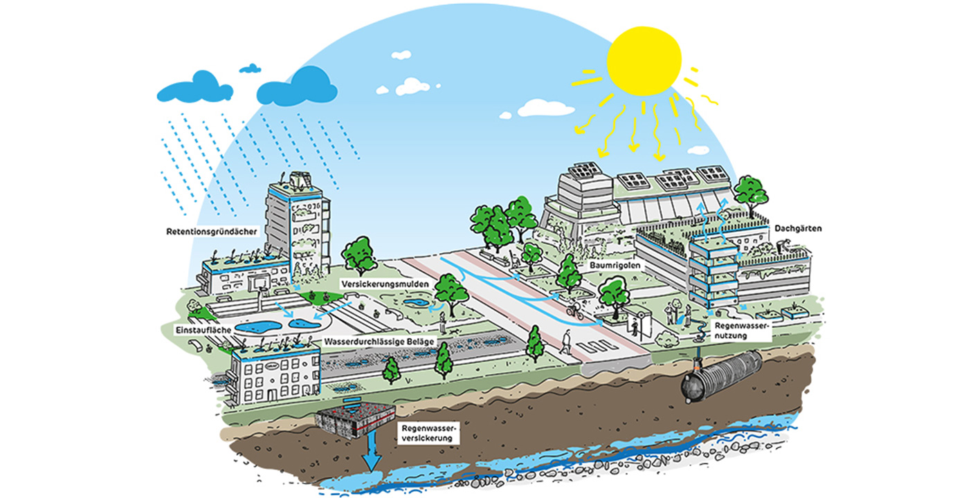 Schwammstadt Infografik