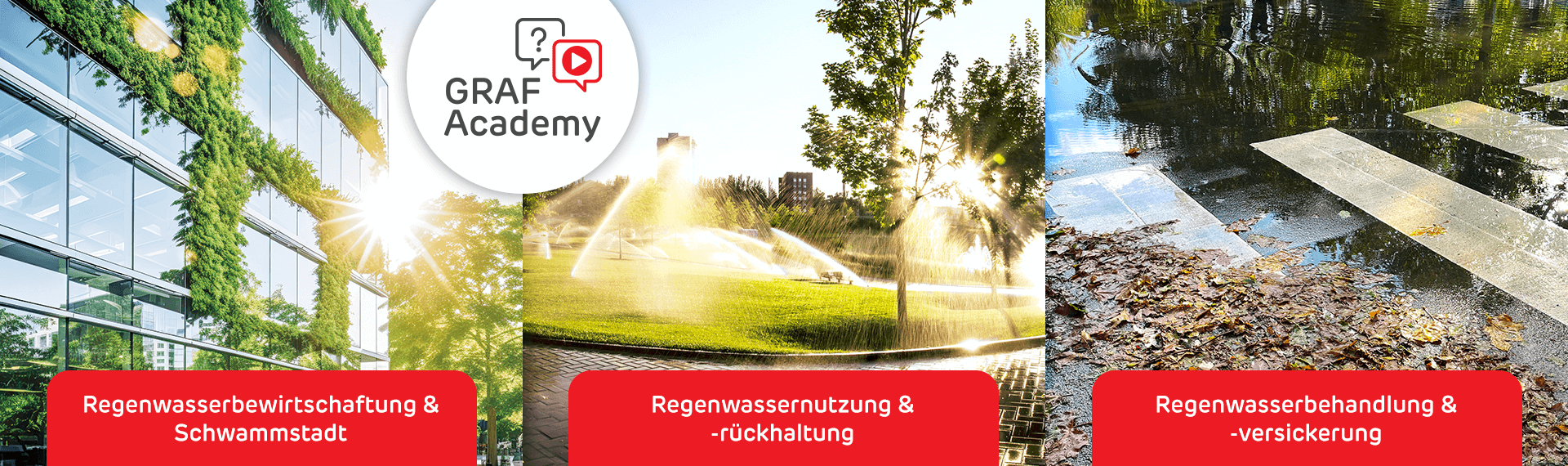 GRAF Academy