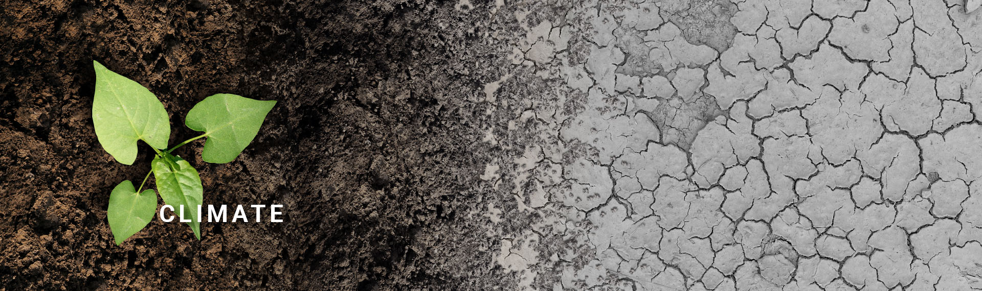 Climate