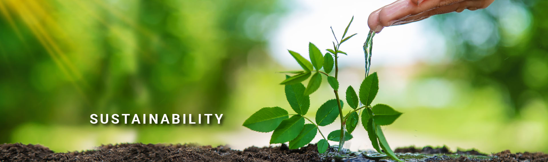 Sustainability