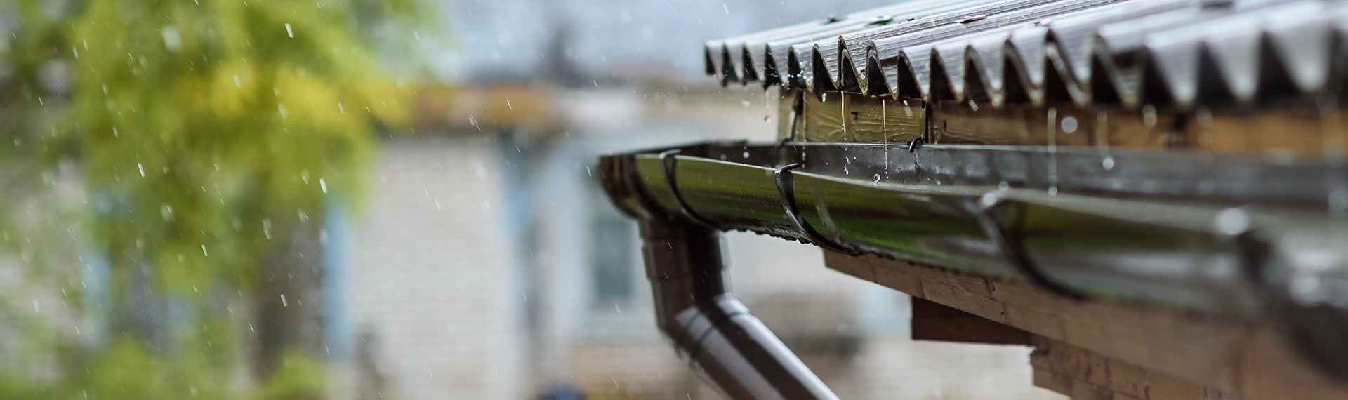 Rainwater harvesting