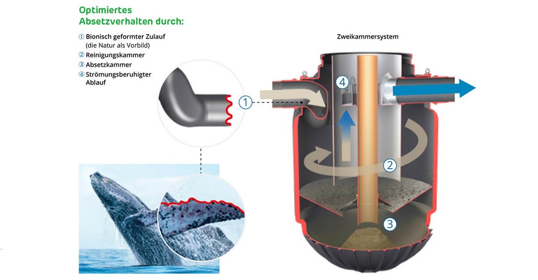 EcoLoop Saphir Absetzverhalten