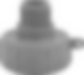 IBC Adapter 2'' Grobgewinde auf 1'' Feingewinde