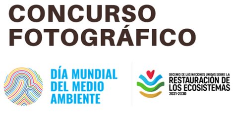 En marcha la segunda edición del concurso de fotografía