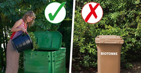 El compostaje casero: la alternativa a los contenedores orgánicos