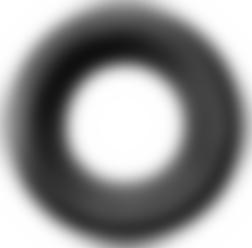 Special seal DN 110 for connections