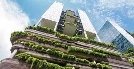 Fassadenbegrünung Singapur