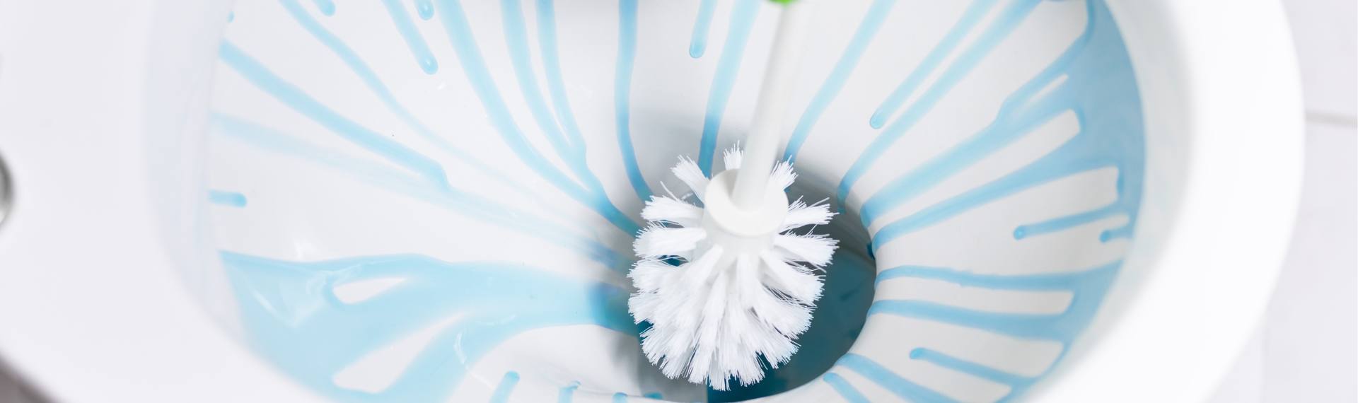 Quels produits de nettoyage peuvent être rejetés dans votre système d’assainissement ?