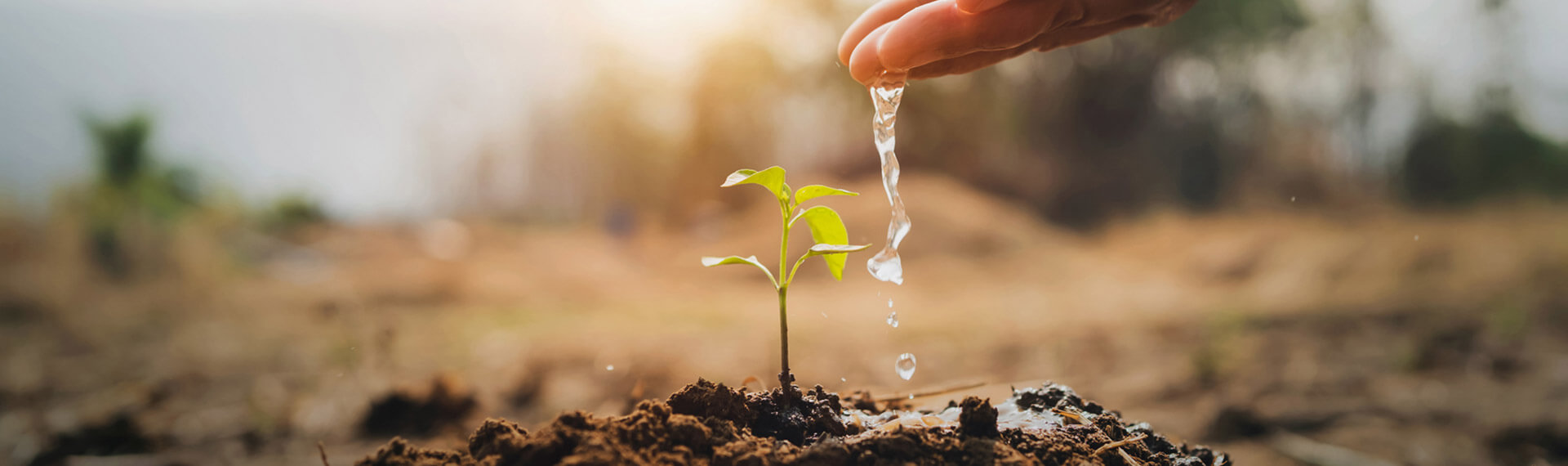 Por qué cada gota de agua cuenta